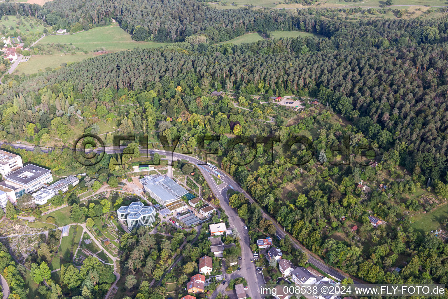 Photographie aérienne de Parc en terrasses du Jardin Botanique, Tropicarium et Arboretum de l'Université Tübingen à Tübingen dans le département Bade-Wurtemberg, Allemagne