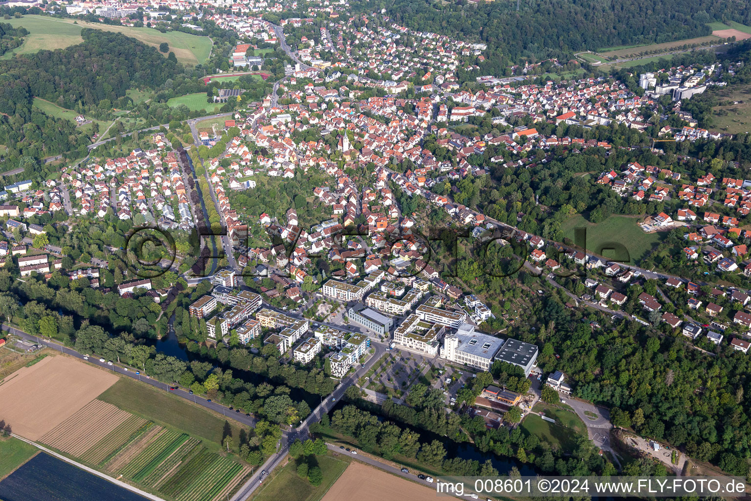 Vue aérienne de Quartier Lustnau in Tübingen dans le département Bade-Wurtemberg, Allemagne