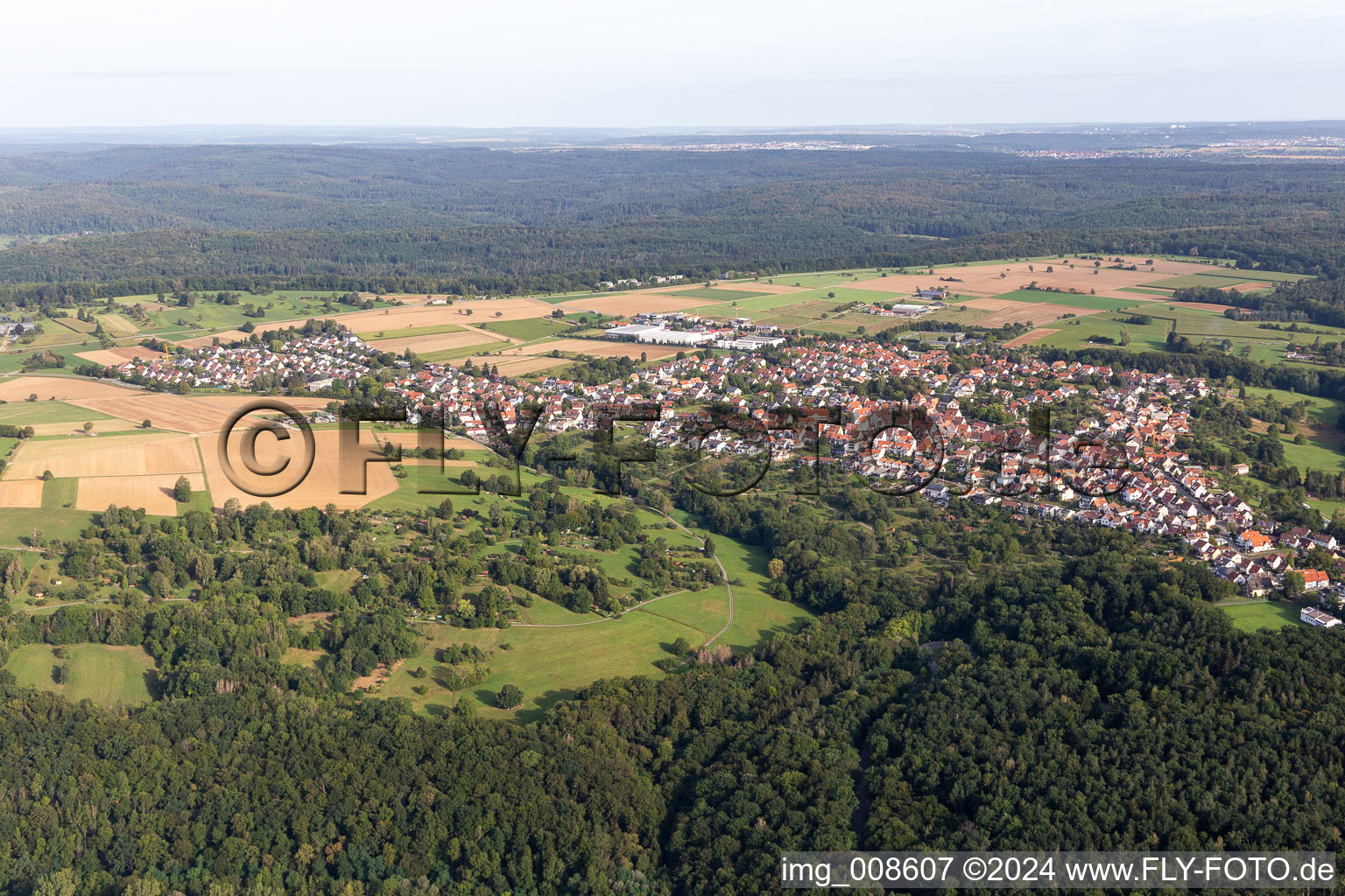 Vue aérienne de Pfrondorf dans le département Bade-Wurtemberg, Allemagne