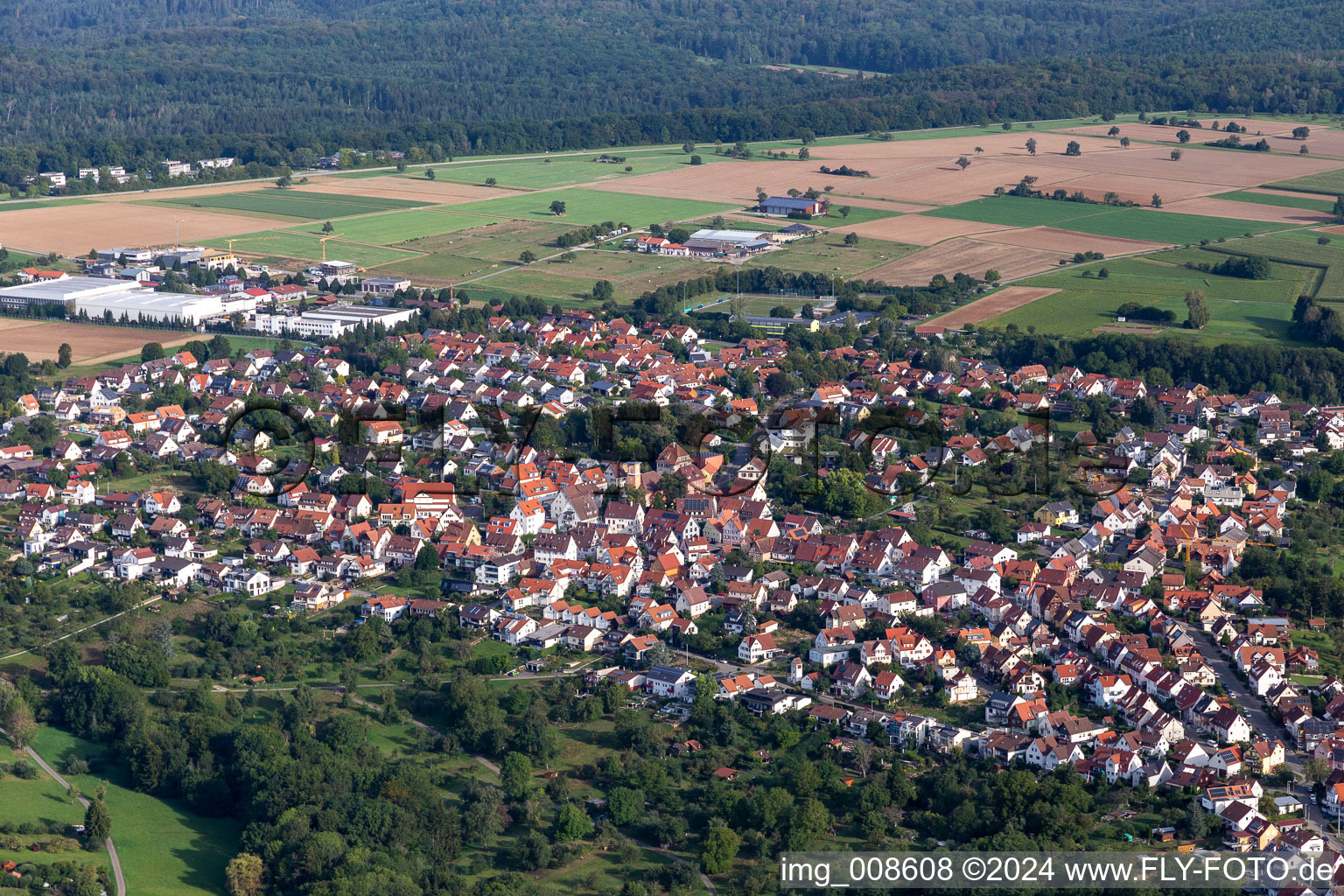 Vue aérienne de Pfrondorf dans le département Bade-Wurtemberg, Allemagne