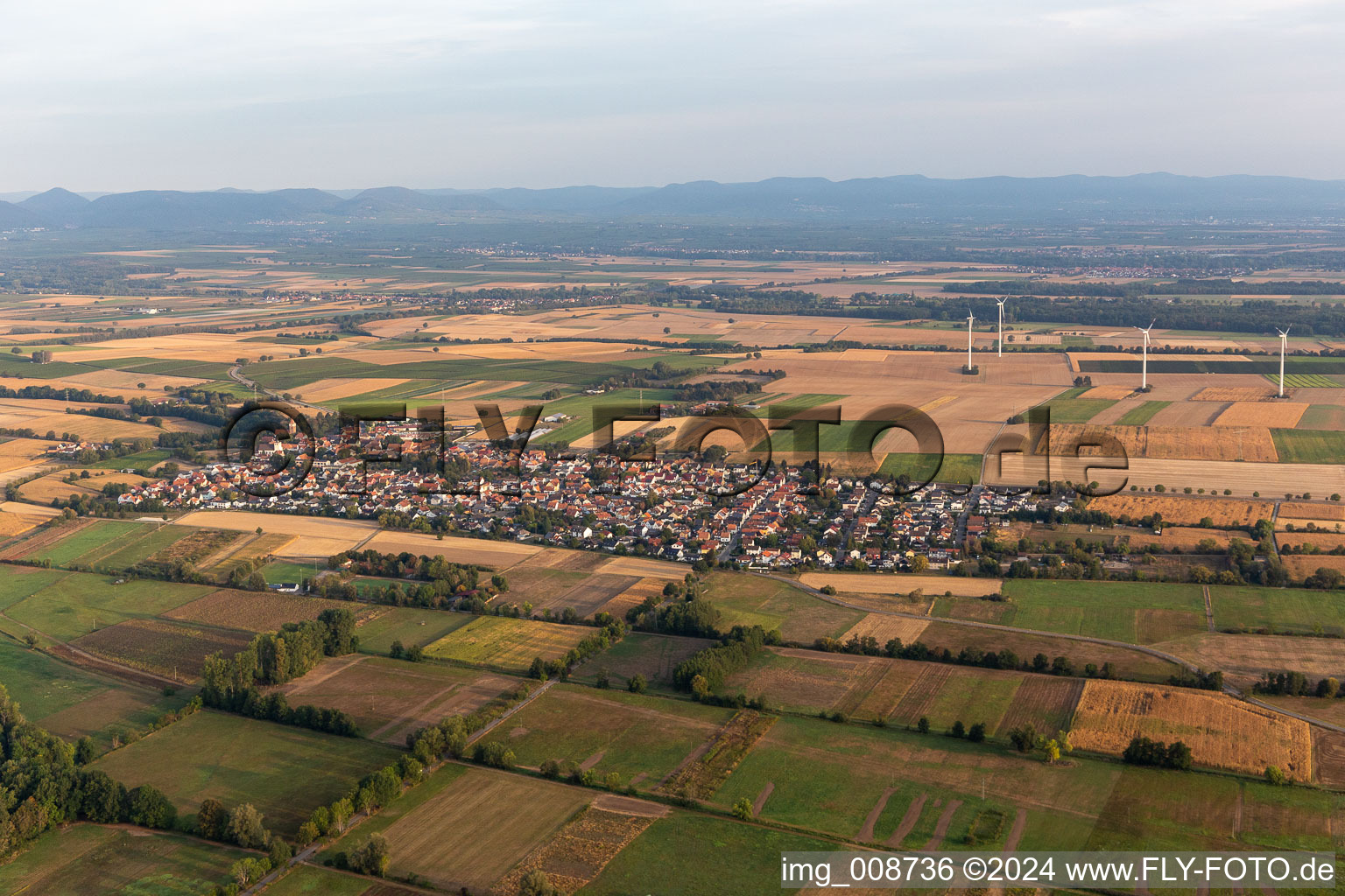 Vue aérienne de Minfeld dans le département Rhénanie-Palatinat, Allemagne