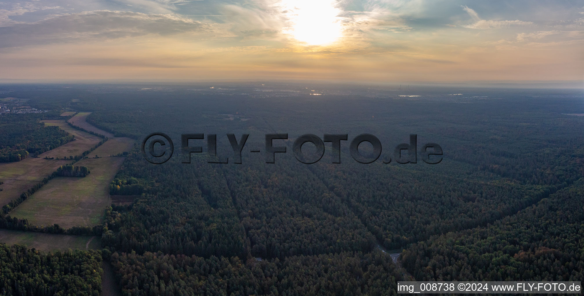 Vue aérienne de Lever de soleil sur le Bienwald à l'Otterbachtal à Minfeld dans le département Rhénanie-Palatinat, Allemagne