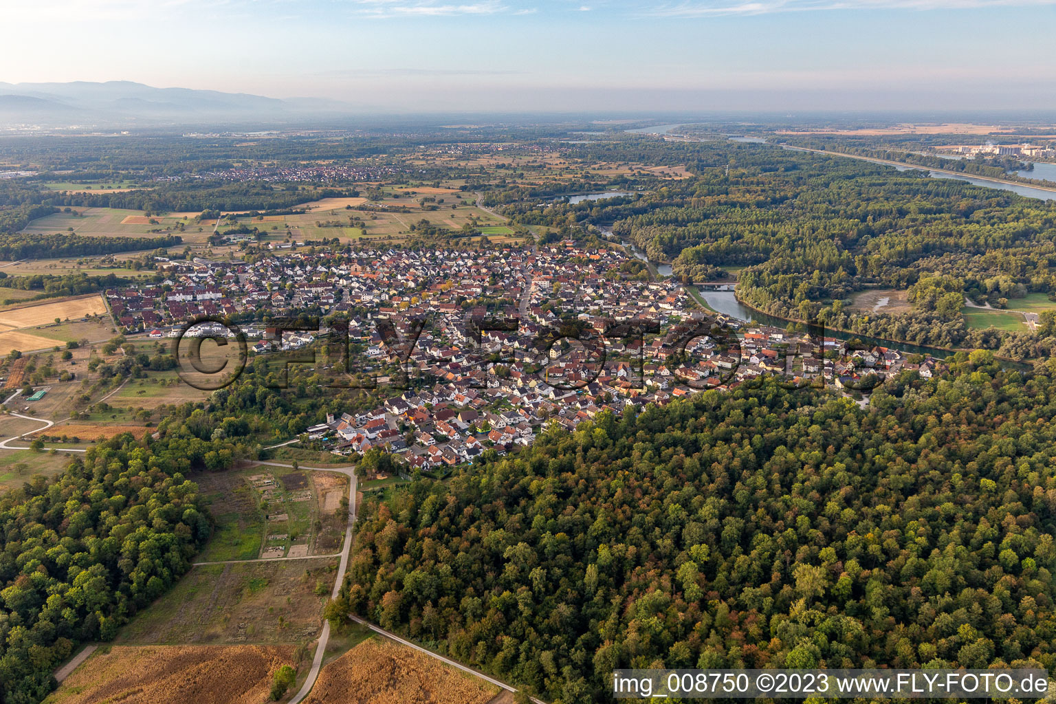 Vue aérienne de Zone des berges du Vieux Rhin - cours du fleuve en Plittersdorf à le quartier Plittersdorf in Rastatt dans le département Bade-Wurtemberg, Allemagne
