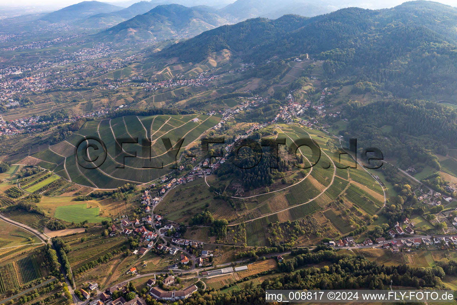 Vue aérienne de Vignobles badois à le quartier Waldmatt in Bühl dans le département Bade-Wurtemberg, Allemagne