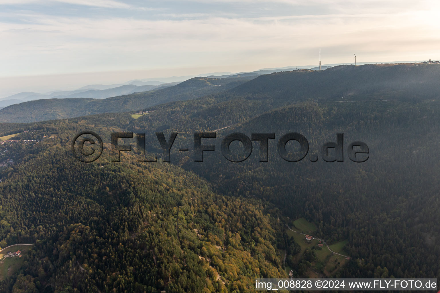 Vue aérienne de Écurie de bœufs à Sasbachwalden dans le département Bade-Wurtemberg, Allemagne