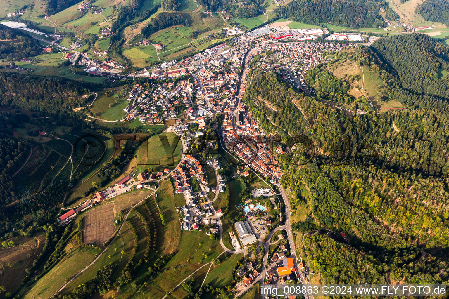 Vue aérienne de Vue des rues et des maisons des quartiers résidentiels à Oppenau dans le département Bade-Wurtemberg, Allemagne
