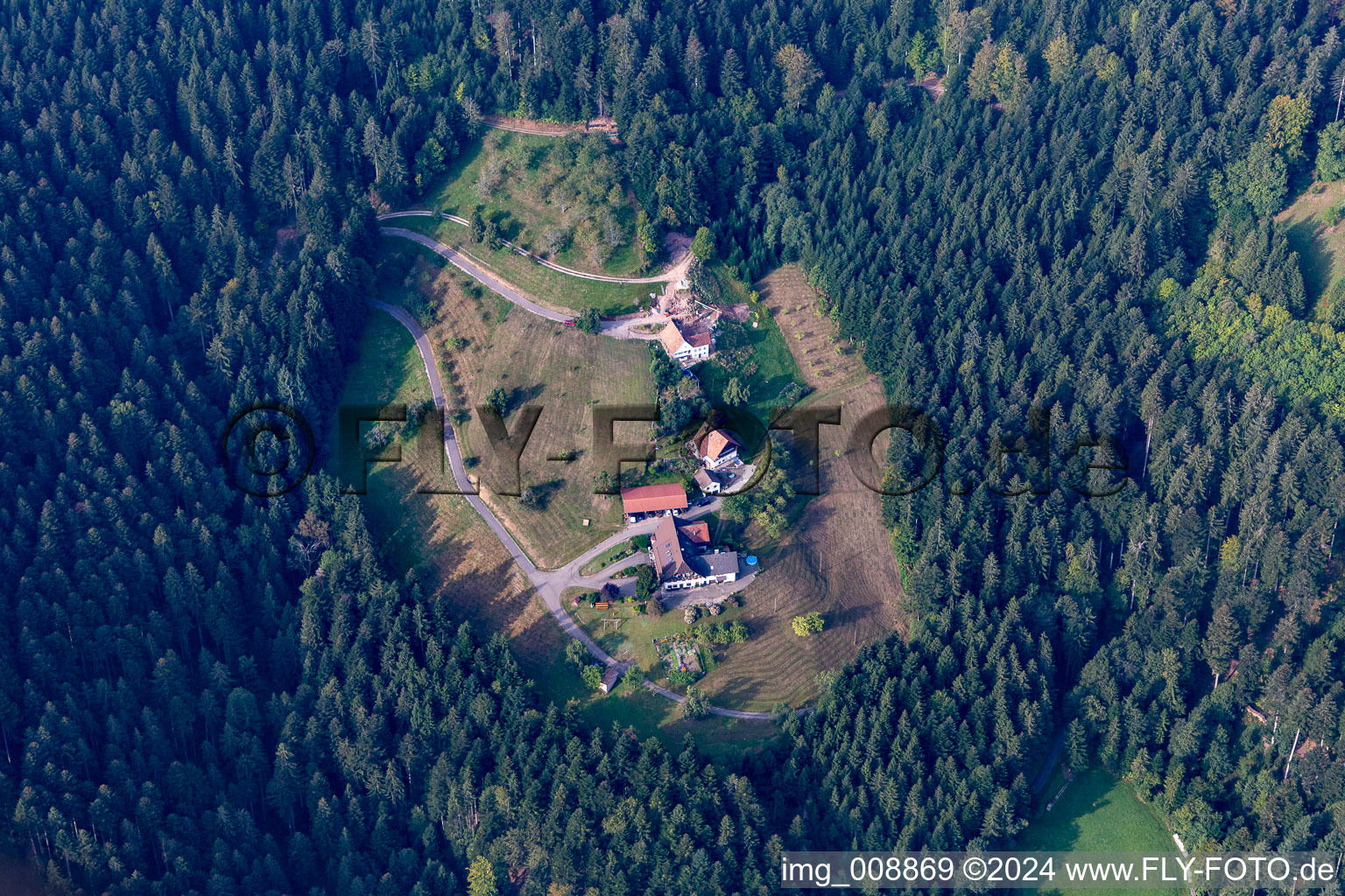 Vue aérienne de Manfred Huber, appartement de vacances à Oppenau dans le département Bade-Wurtemberg, Allemagne