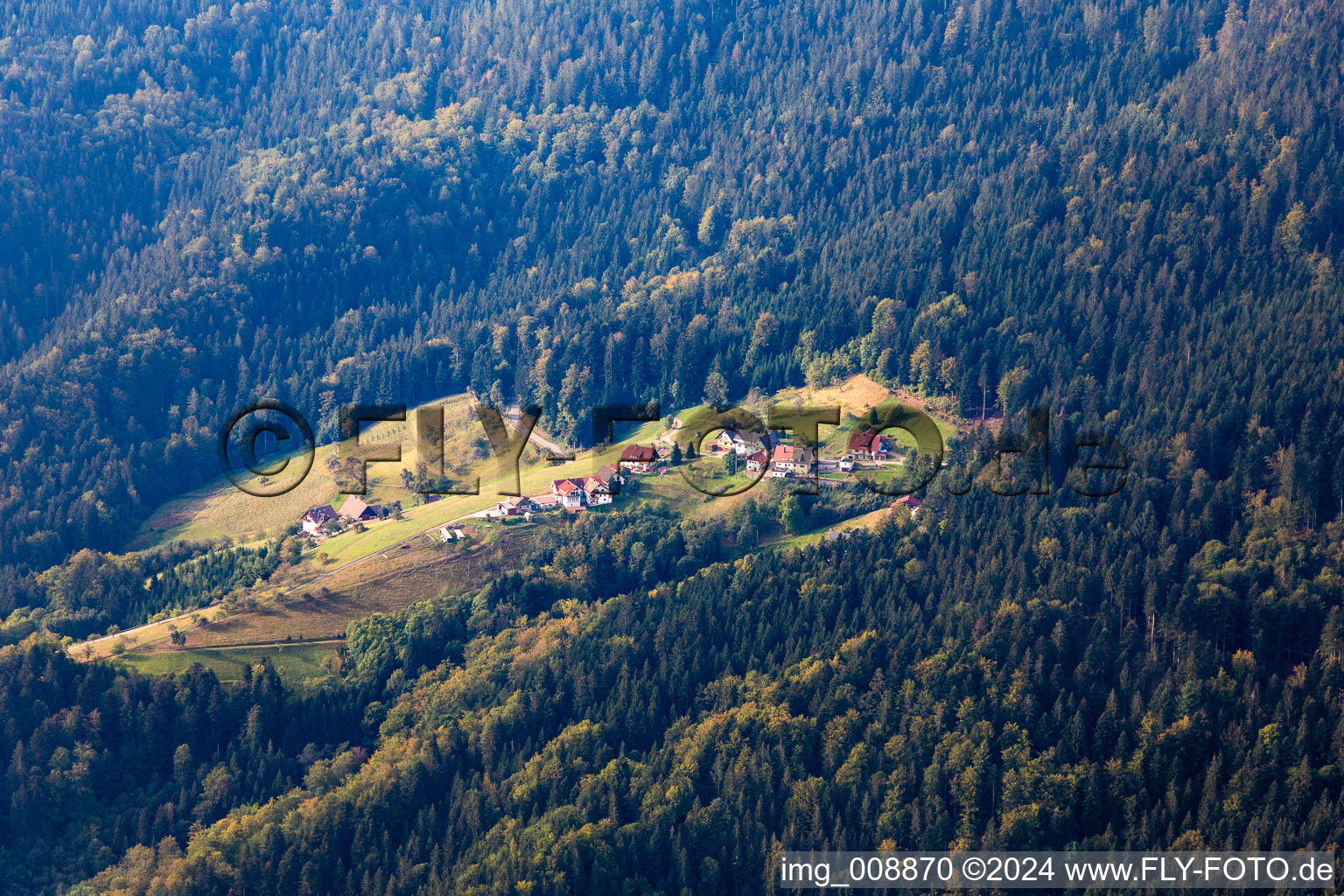 Vue aérienne de Herlesries à Oppenau dans le département Bade-Wurtemberg, Allemagne