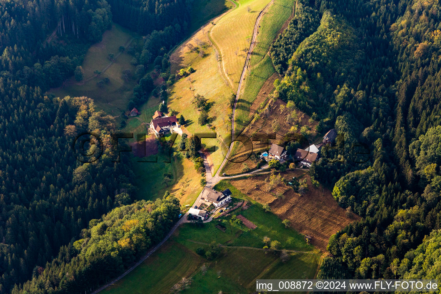 Vue aérienne de Felmeck à Oppenau dans le département Bade-Wurtemberg, Allemagne