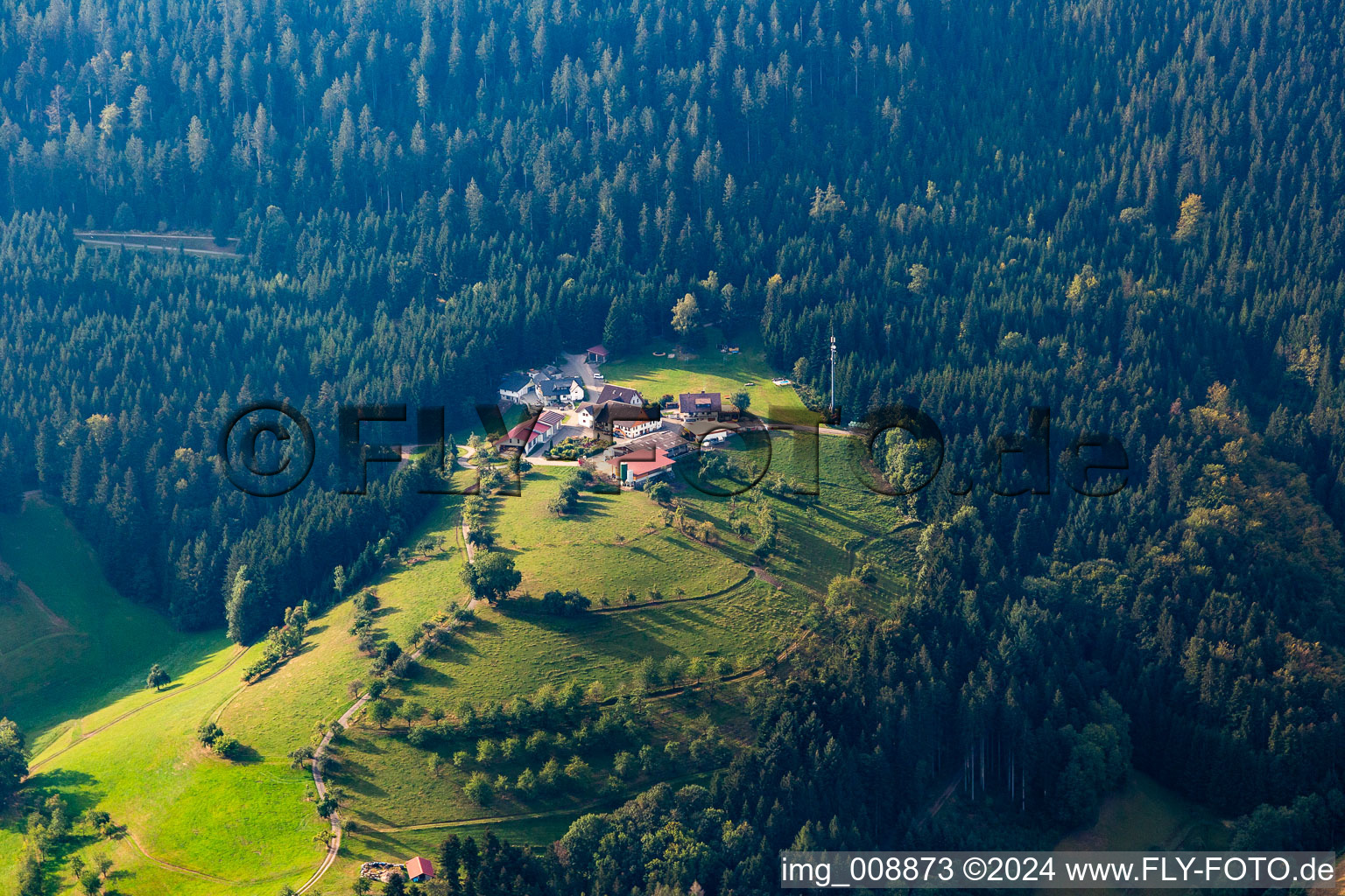 Vue aérienne de Löscherhansenhof à le quartier Bad Peterstal in Bad Peterstal-Griesbach dans le département Bade-Wurtemberg, Allemagne