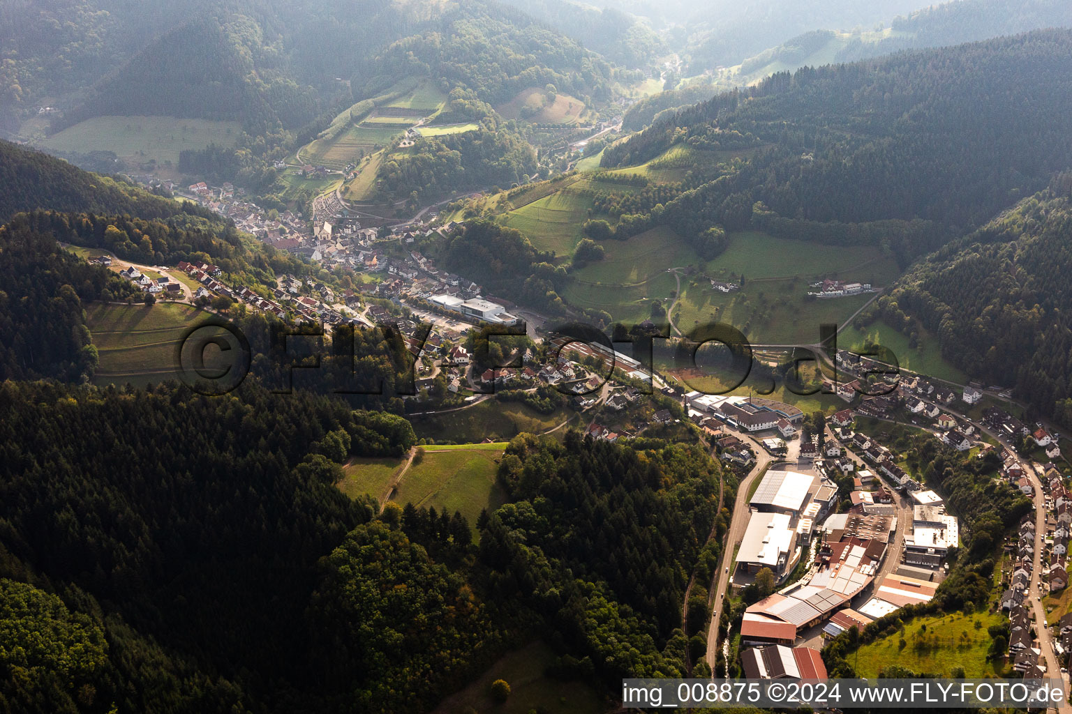 Vue aérienne de Surface commerciale avec Treyer Paletten GmbH à le quartier Bad Peterstal in Bad Peterstal-Griesbach dans le département Bade-Wurtemberg, Allemagne