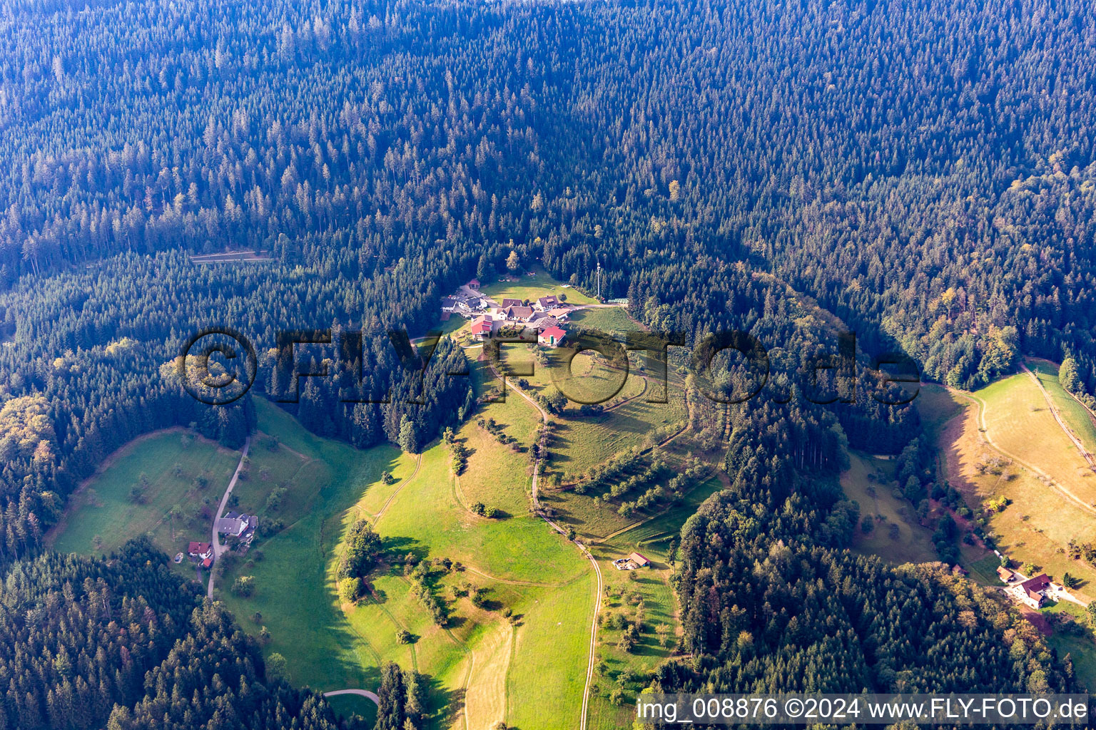 Vue aérienne de Löscherhansenhof à le quartier Bad Peterstal in Bad Peterstal-Griesbach dans le département Bade-Wurtemberg, Allemagne