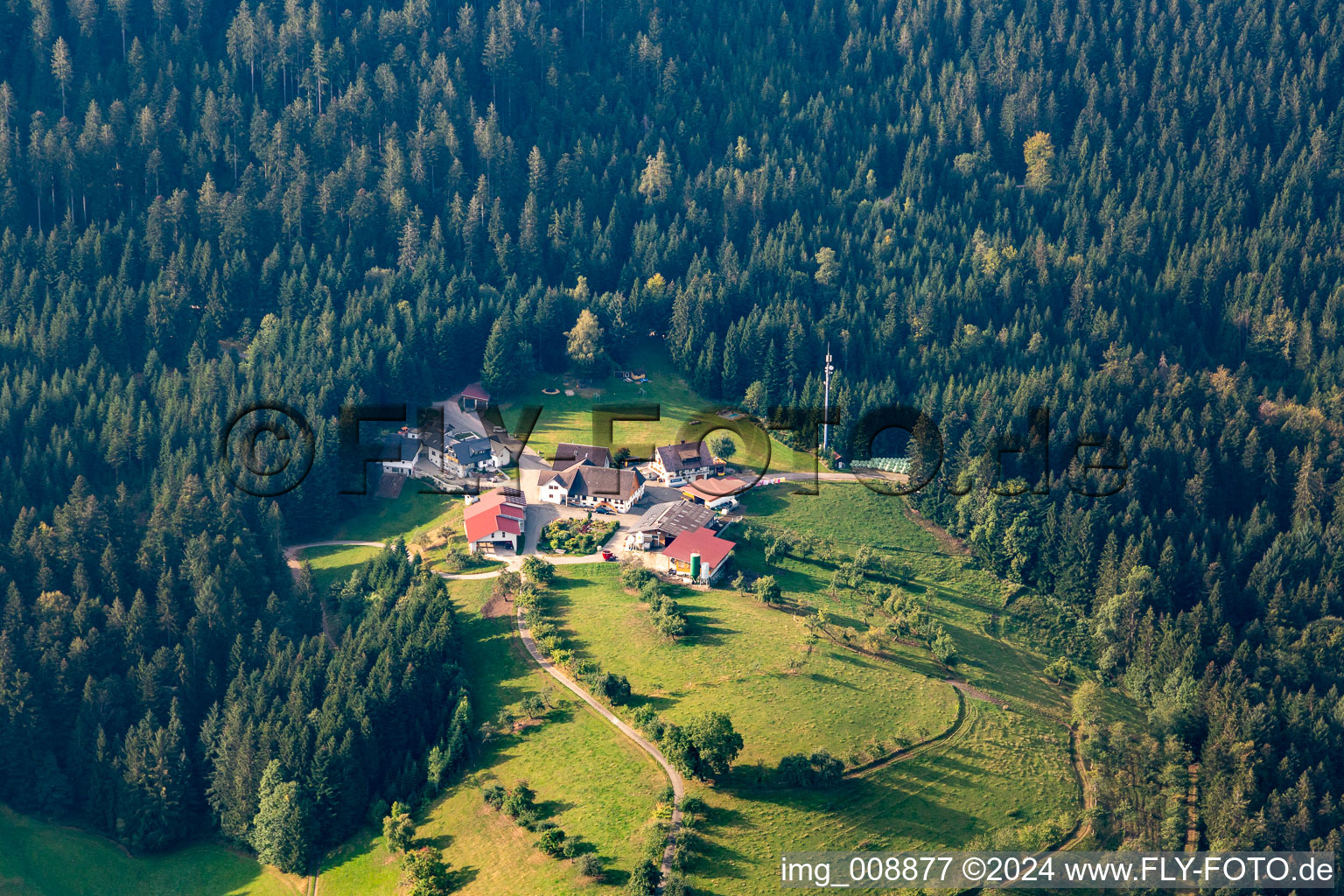 Photographie aérienne de Löscherhansenhof à le quartier Bad Peterstal in Bad Peterstal-Griesbach dans le département Bade-Wurtemberg, Allemagne