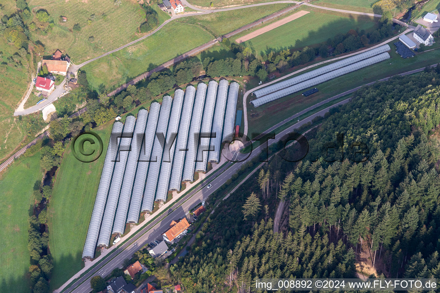 Vue aérienne de Polytunnel à Renchtal à Oppenau dans le département Bade-Wurtemberg, Allemagne