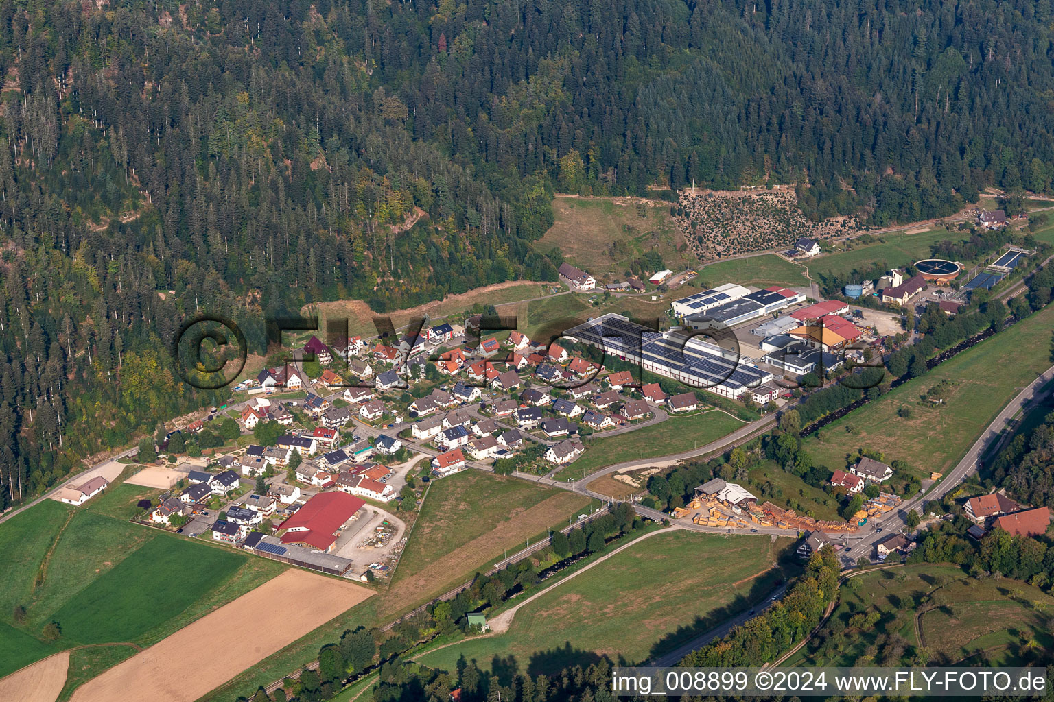 Vue aérienne de Höfle à Oppenau dans le département Bade-Wurtemberg, Allemagne