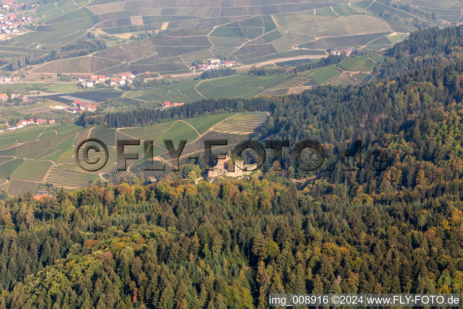 Vue aérienne de Ruines du Schaubourg à Oberkirch dans le département Bade-Wurtemberg, Allemagne