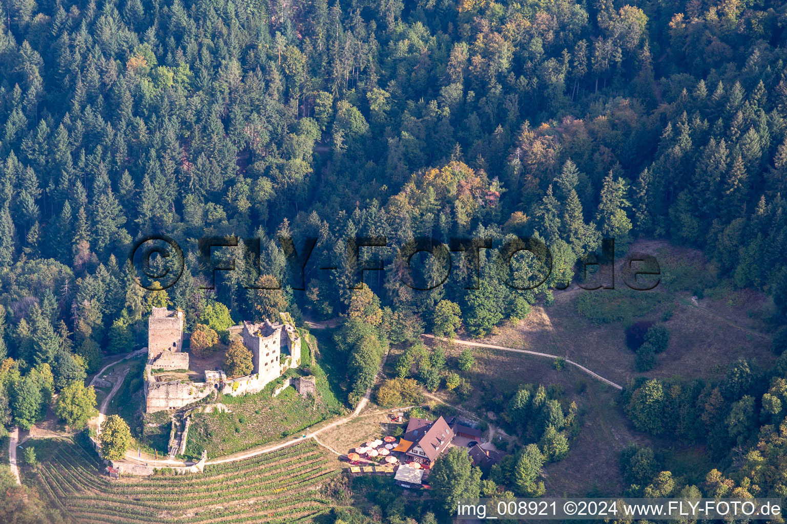 Vue aérienne de Ruines du Schaubourg à Oberkirch dans le département Bade-Wurtemberg, Allemagne