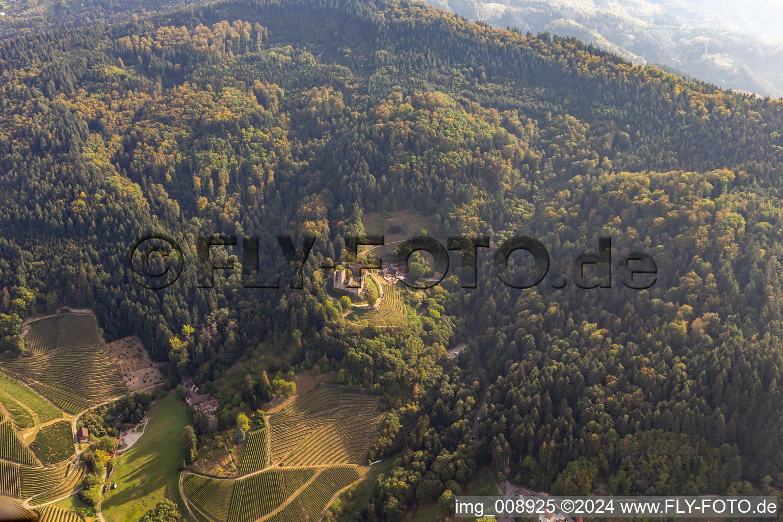 Vue aérienne de Les ruines de Schauenburg et l'économie du château à Oberkirch dans le département Bade-Wurtemberg, Allemagne