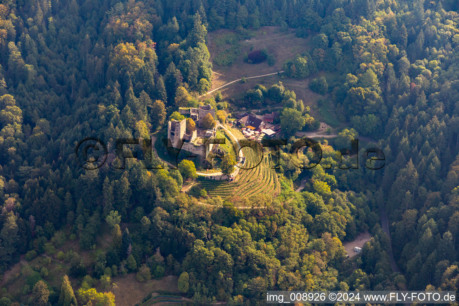 Vue aérienne de Les ruines de Schauenburg et l'économie du château à Oberkirch dans le département Bade-Wurtemberg, Allemagne