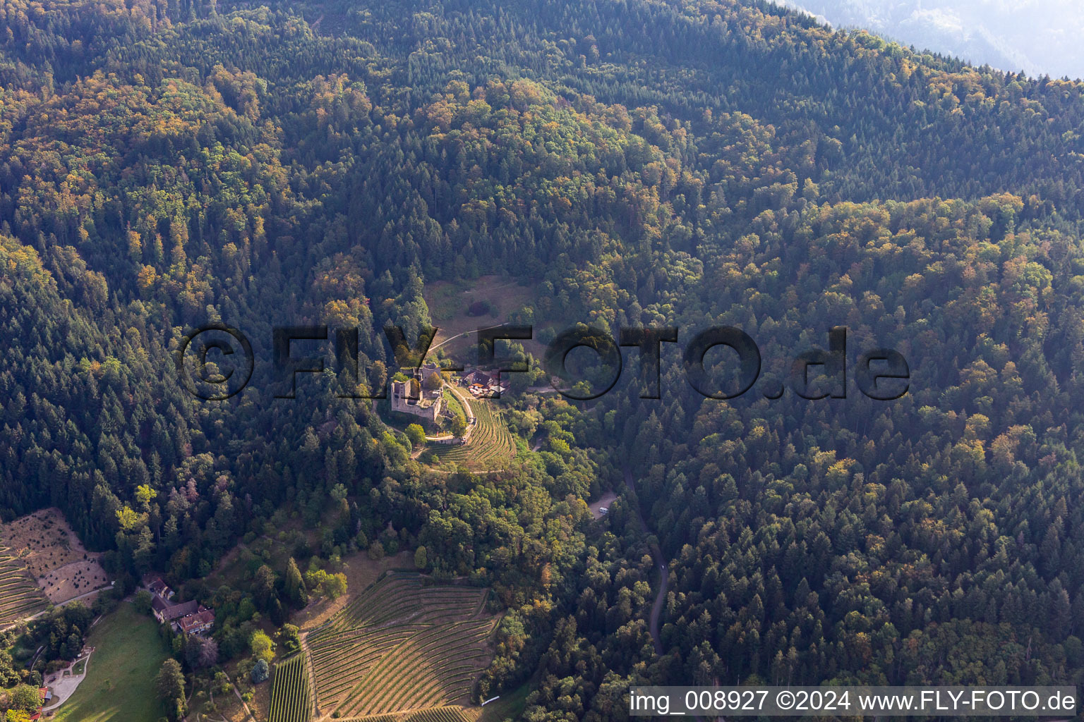 Photographie aérienne de Ruines et vestiges de l'enceinte de l'ancien château de Schauenburg à le quartier Wolfhag in Oberkirch dans le département Bade-Wurtemberg, Allemagne