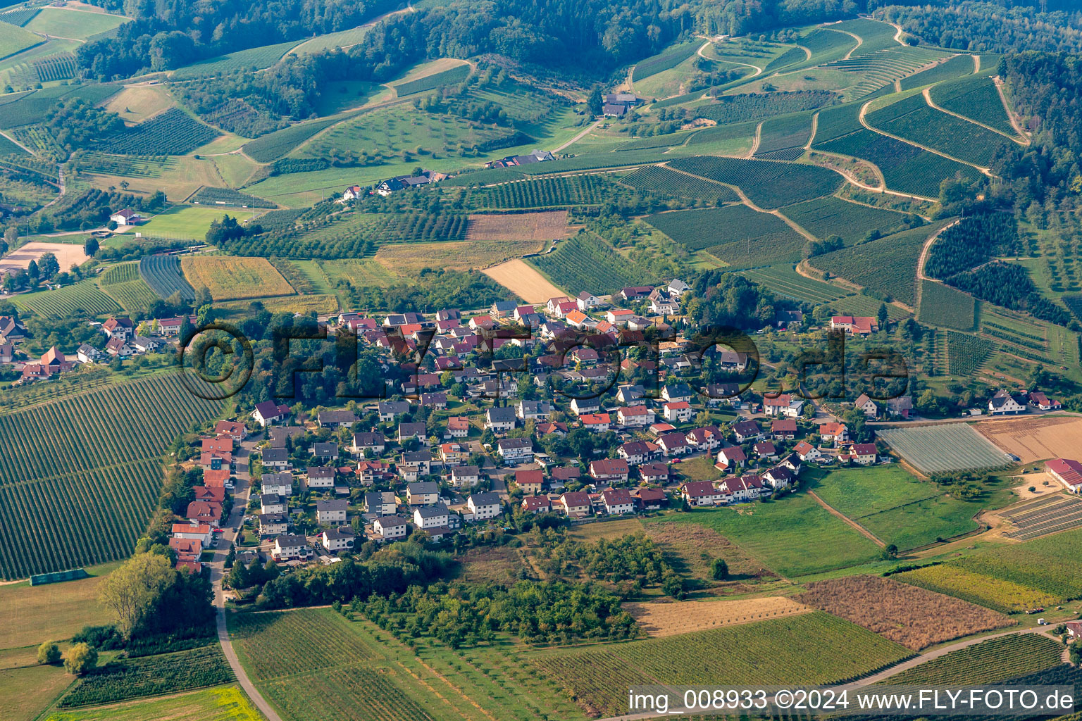 Vue aérienne de Quartier Bottenau in Oberkirch dans le département Bade-Wurtemberg, Allemagne