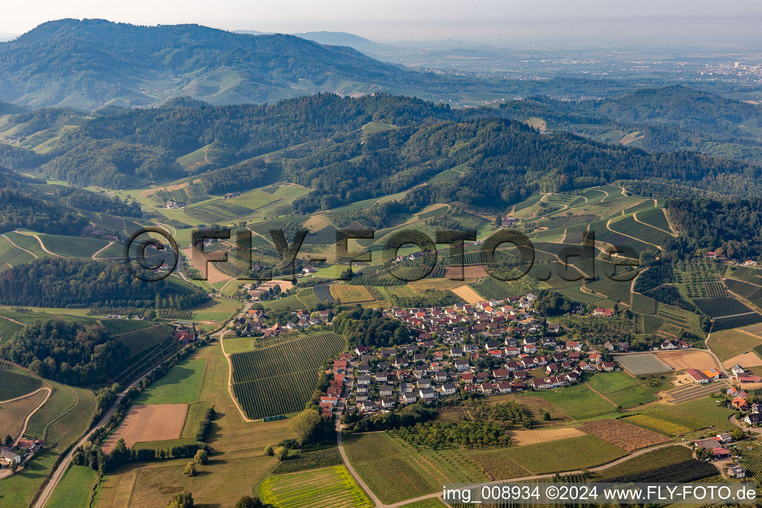 Vue aérienne de Quartier Bottenau in Oberkirch dans le département Bade-Wurtemberg, Allemagne