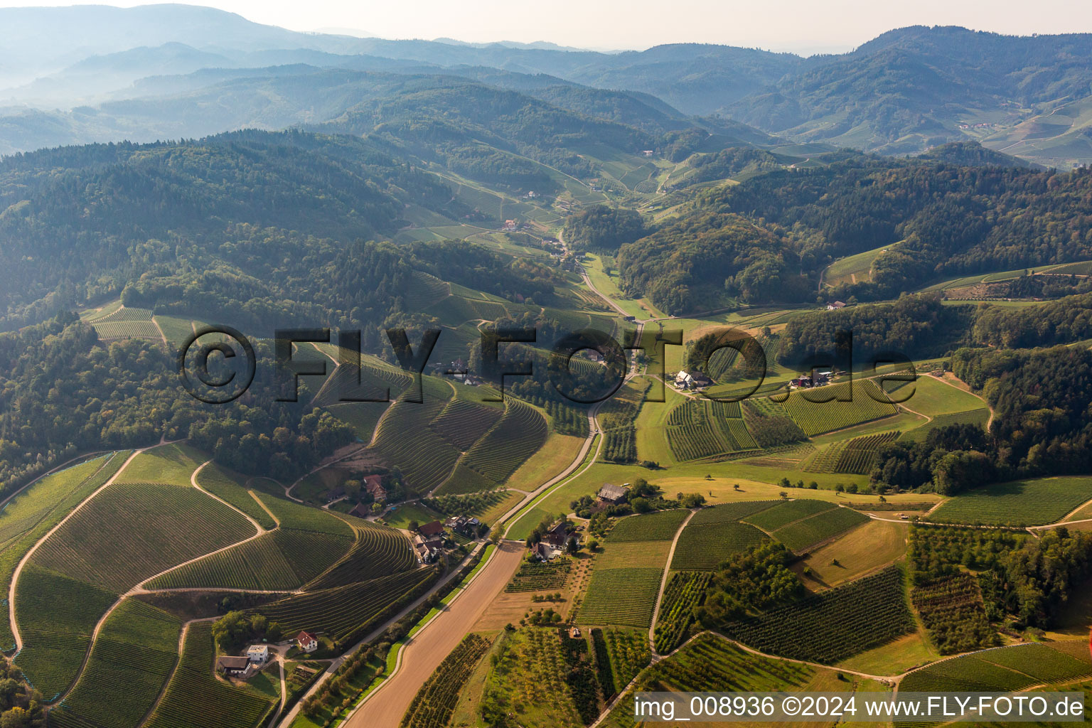 Vue aérienne de Weintalstrasse à Weidenbachtal à Oberkirch dans le département Bade-Wurtemberg, Allemagne