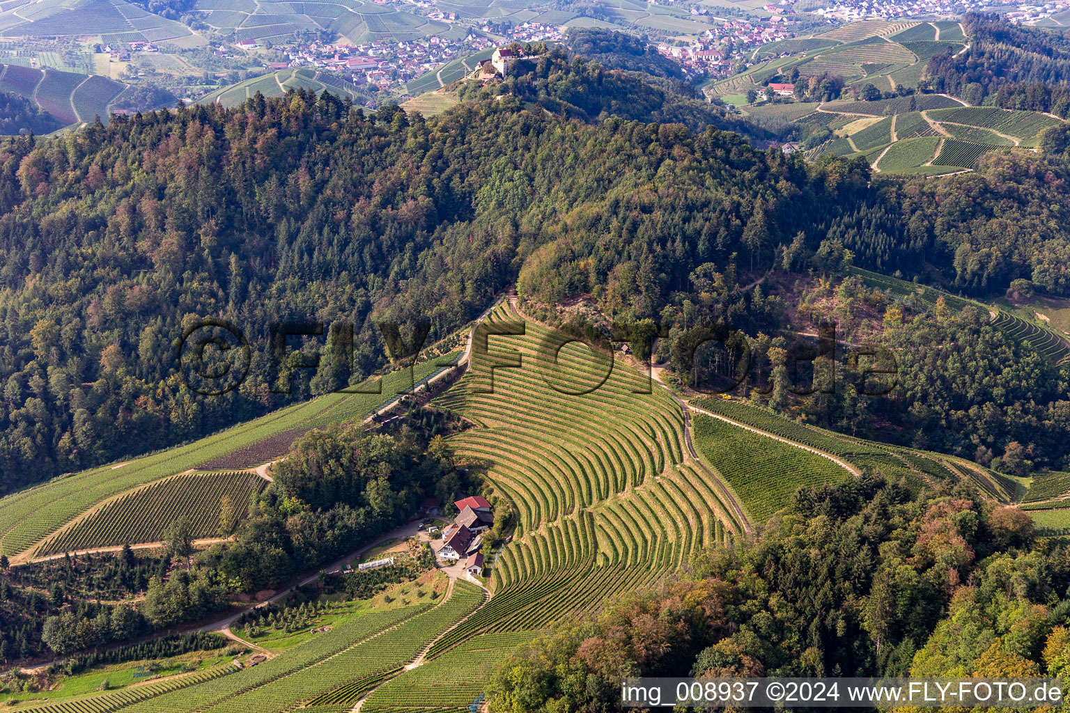 Vue aérienne de Château de Staufenberg derrière le Stollenberg à le quartier Heimbach in Durbach dans le département Bade-Wurtemberg, Allemagne