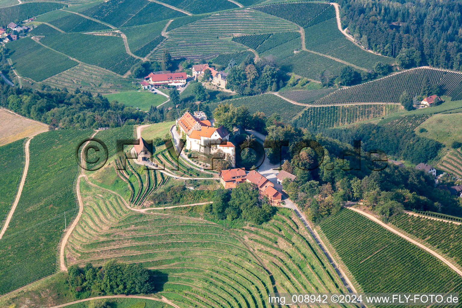 Vue aérienne de Domaine viticole Margrave von Baden dans le château de Staufenberg à le quartier Heimbach in Durbach dans le département Bade-Wurtemberg, Allemagne