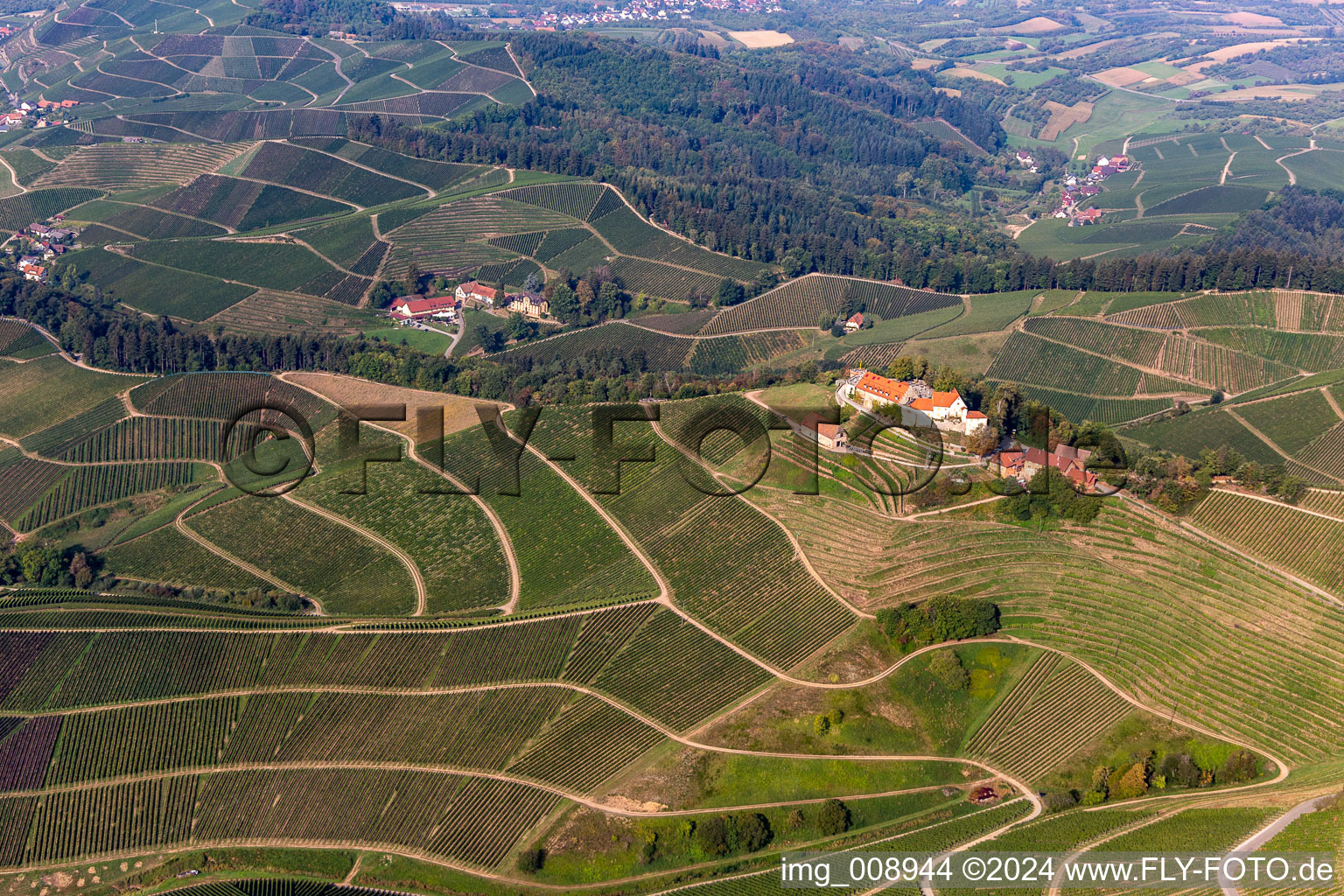 Vue oblique de Domaine viticole Margrave von Baden dans le château de Staufenberg à le quartier Heimbach in Durbach dans le département Bade-Wurtemberg, Allemagne