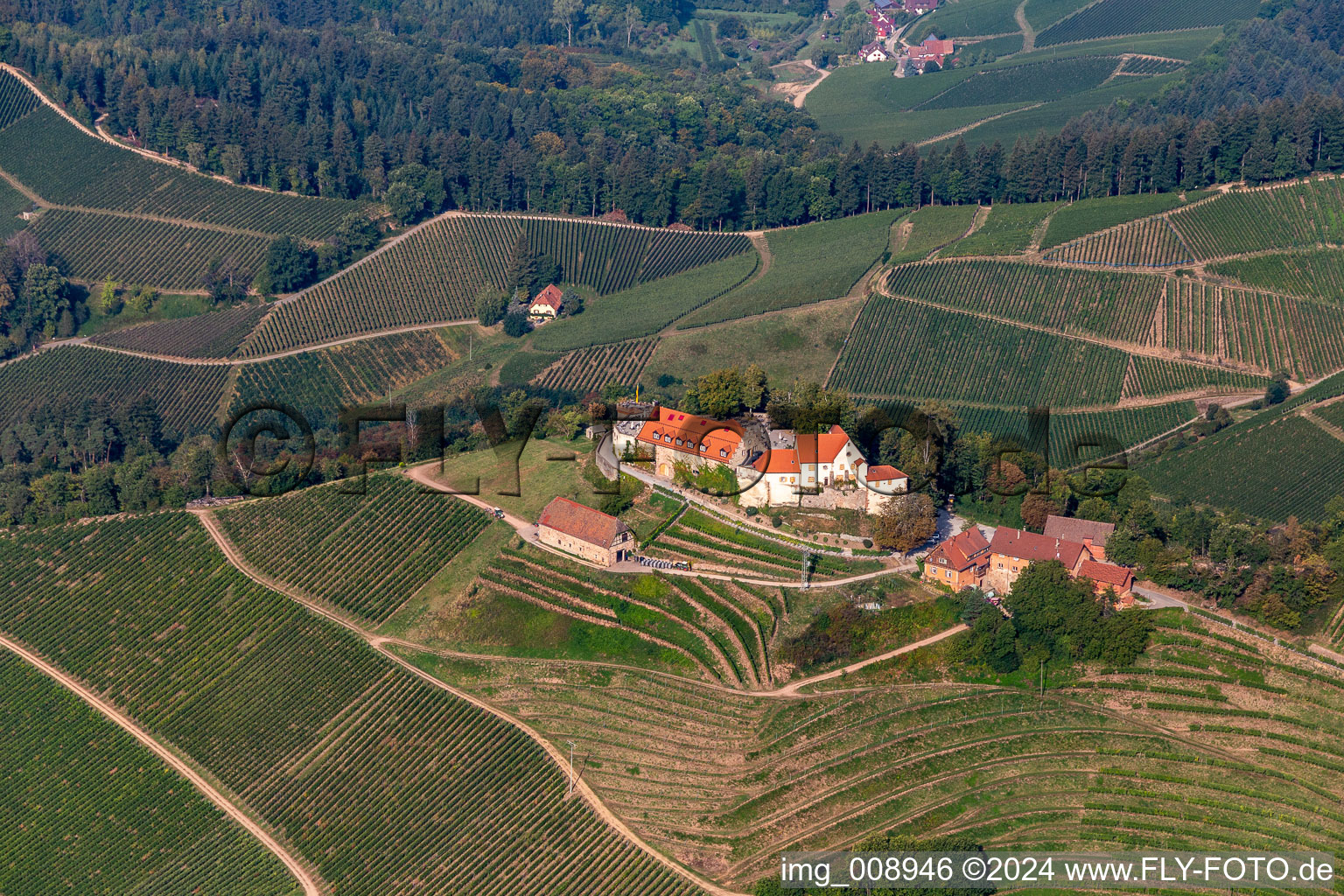 Vue oblique de Domaine viticole et restaurants du château de Staufenberg à le quartier Heimbach in Durbach dans le département Bade-Wurtemberg, Allemagne