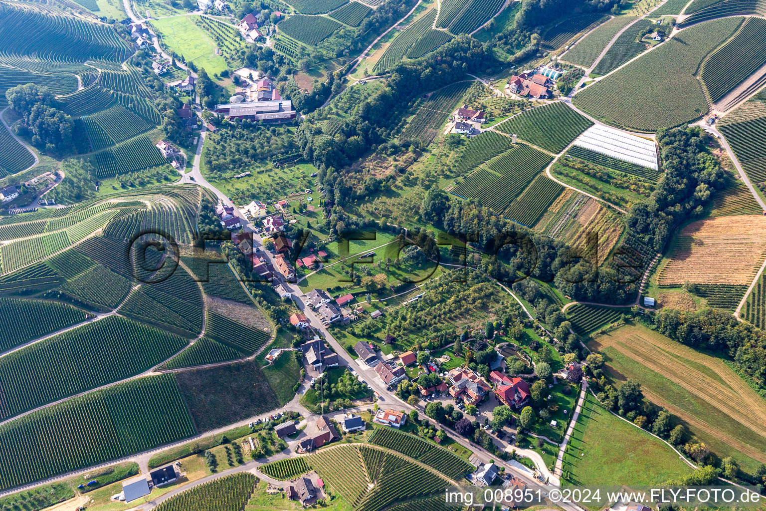 Vue aérienne de Quartier Lautenbach in Durbach dans le département Bade-Wurtemberg, Allemagne