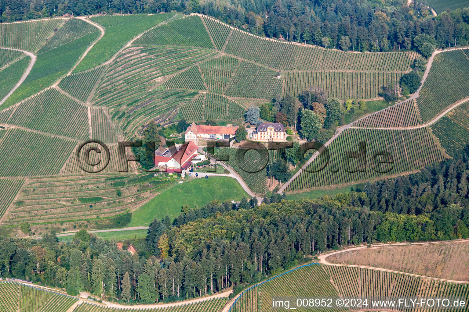 Vue aérienne de Vignobles à la cave à le quartier Heimbach in Durbach dans le département Bade-Wurtemberg, Allemagne