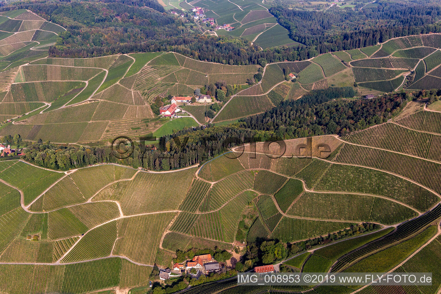 Vue aérienne de Ferme vigneronne à Durbach dans le département Bade-Wurtemberg, Allemagne