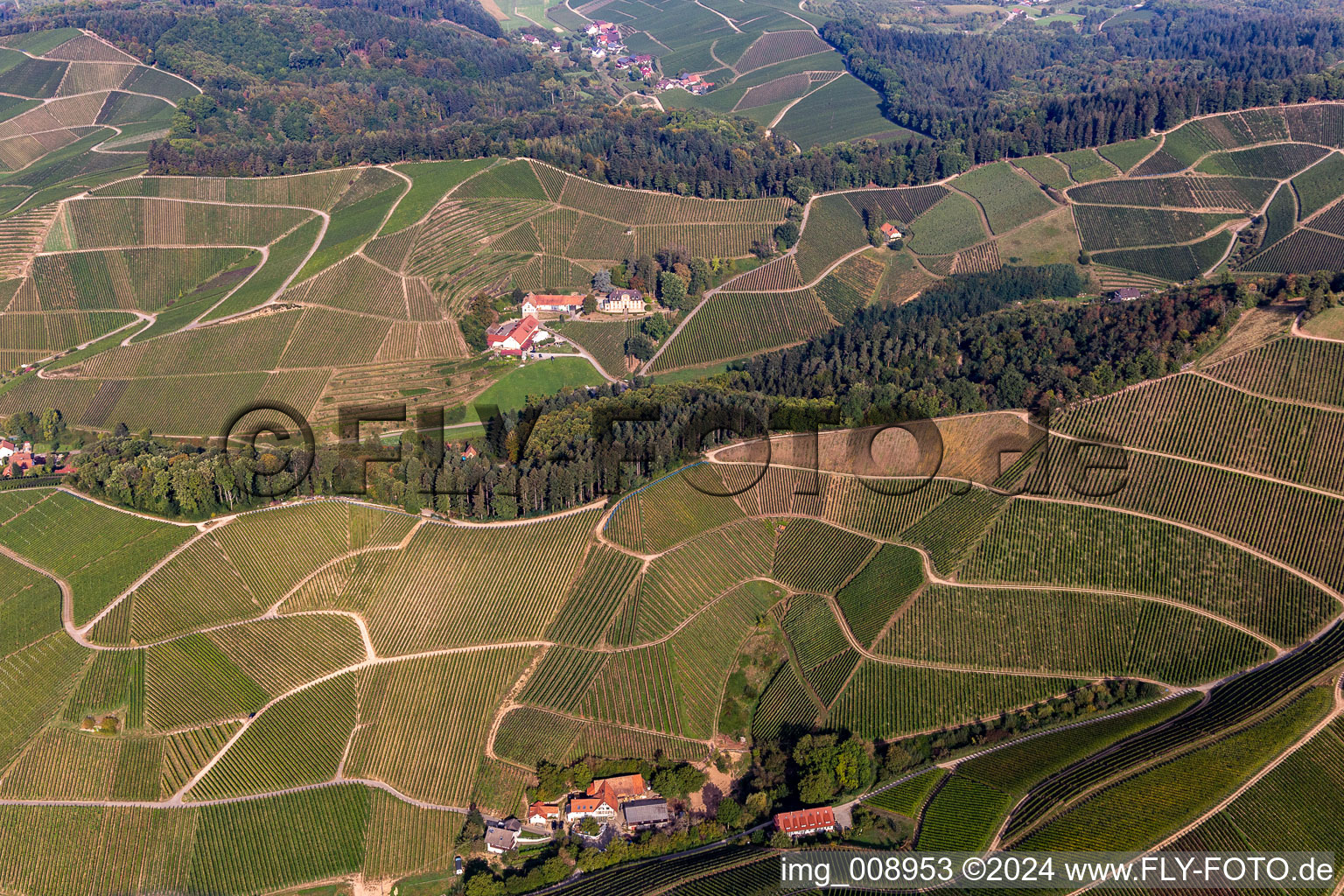 Vue aérienne de Ferme vigneronne à Durbach dans le département Bade-Wurtemberg, Allemagne