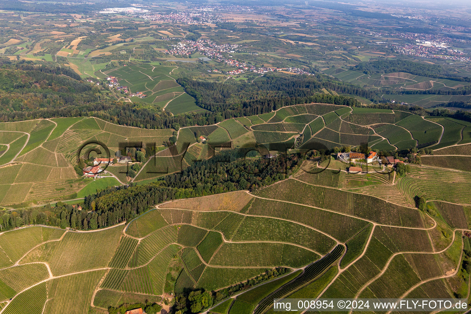 Vue aérienne de Vignobles du Winzerhof et complexe du château de Staufenberg à le quartier Heimbach in Durbach dans le département Bade-Wurtemberg, Allemagne