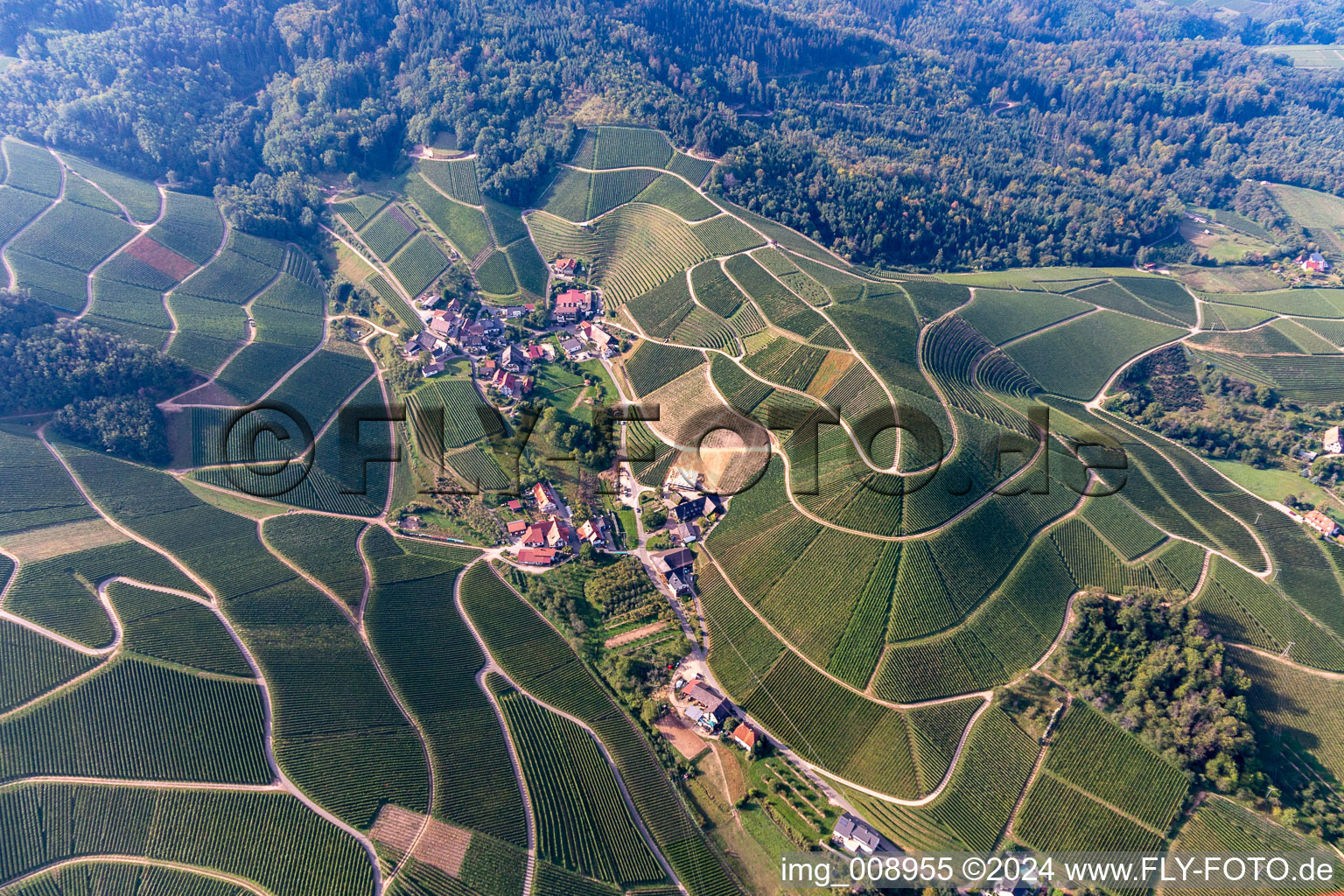 Vue aérienne de Quartier Sendelbach in Durbach dans le département Bade-Wurtemberg, Allemagne