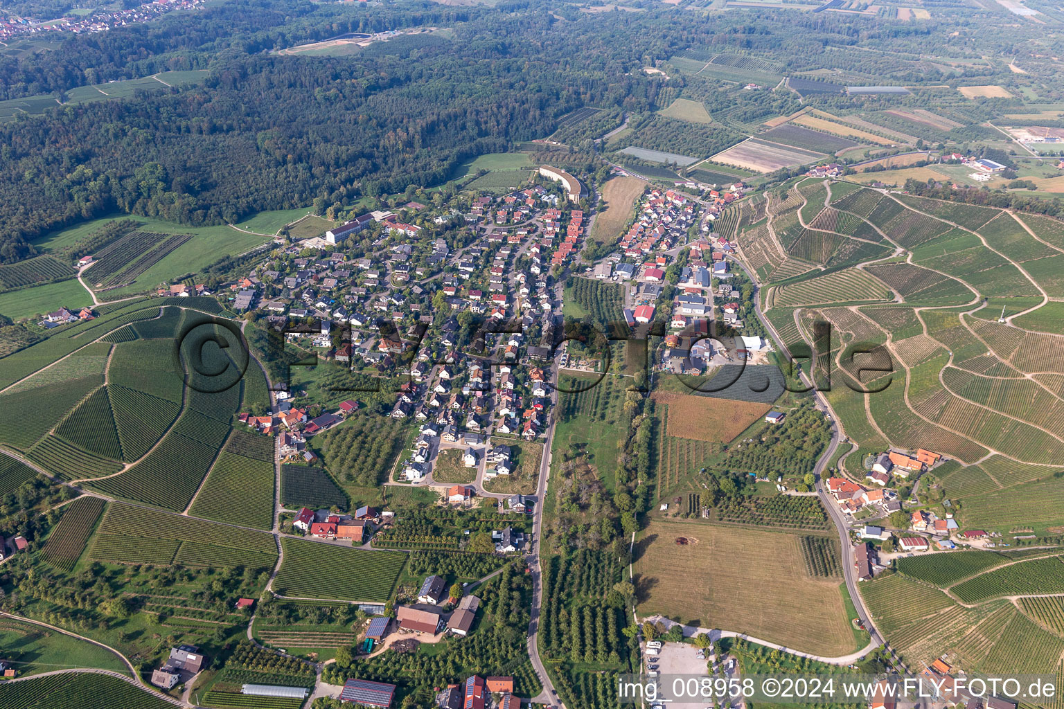 Vue aérienne de Quartier Unterweiler in Durbach dans le département Bade-Wurtemberg, Allemagne