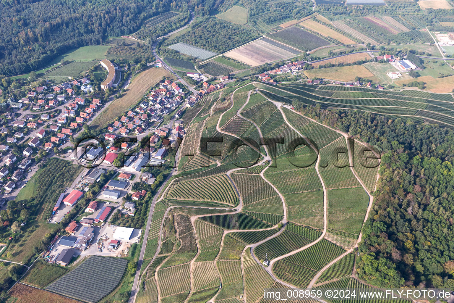 Vue aérienne de Quartier Unterweiler in Durbach dans le département Bade-Wurtemberg, Allemagne