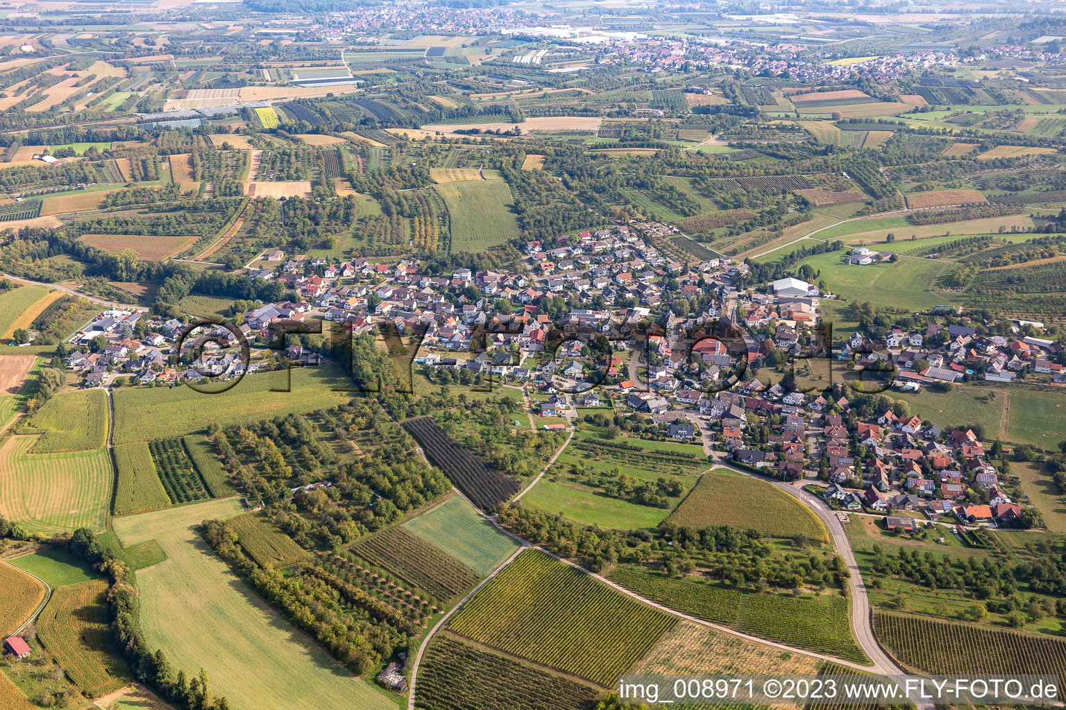 Vue aérienne de Quartier Nesselried in Appenweier dans le département Bade-Wurtemberg, Allemagne