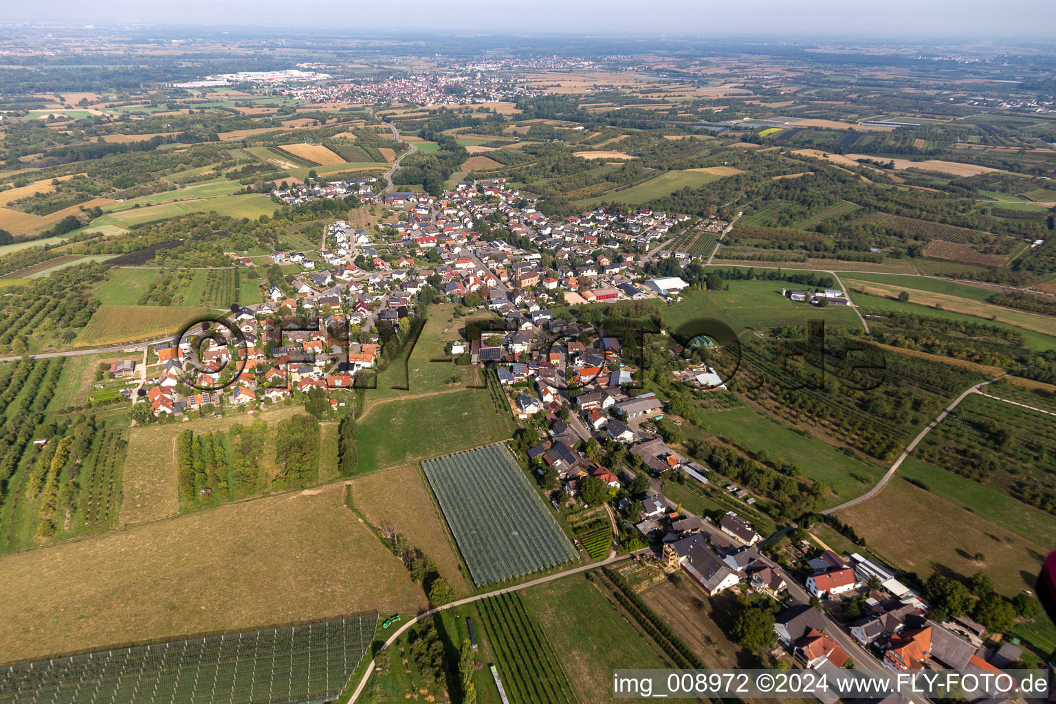 Vue aérienne de Quartier Nesselried in Appenweier dans le département Bade-Wurtemberg, Allemagne