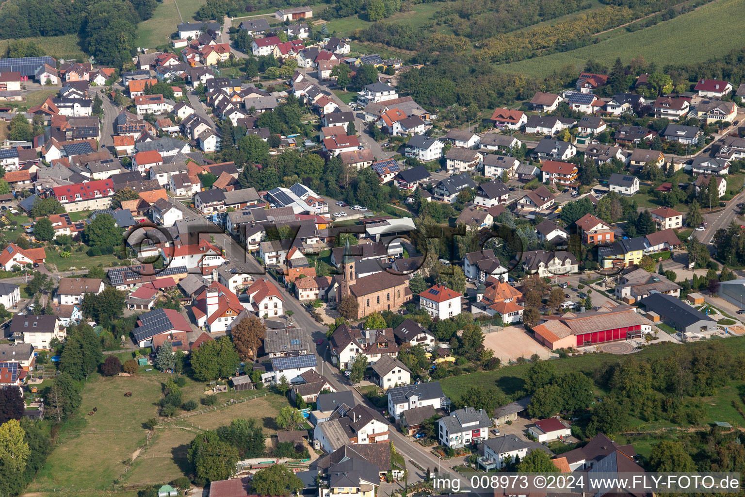 Photographie aérienne de Quartier Nesselried in Appenweier dans le département Bade-Wurtemberg, Allemagne