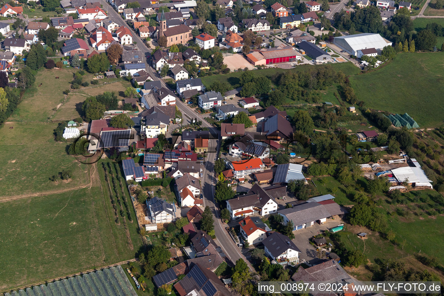 Vue oblique de Quartier Nesselried in Appenweier dans le département Bade-Wurtemberg, Allemagne