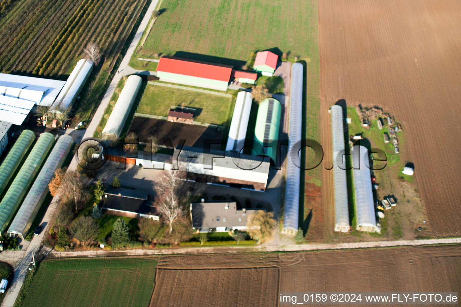 Vue aérienne de Ferme fruitière et maraîchère Zapf à Kandel dans le département Rhénanie-Palatinat, Allemagne