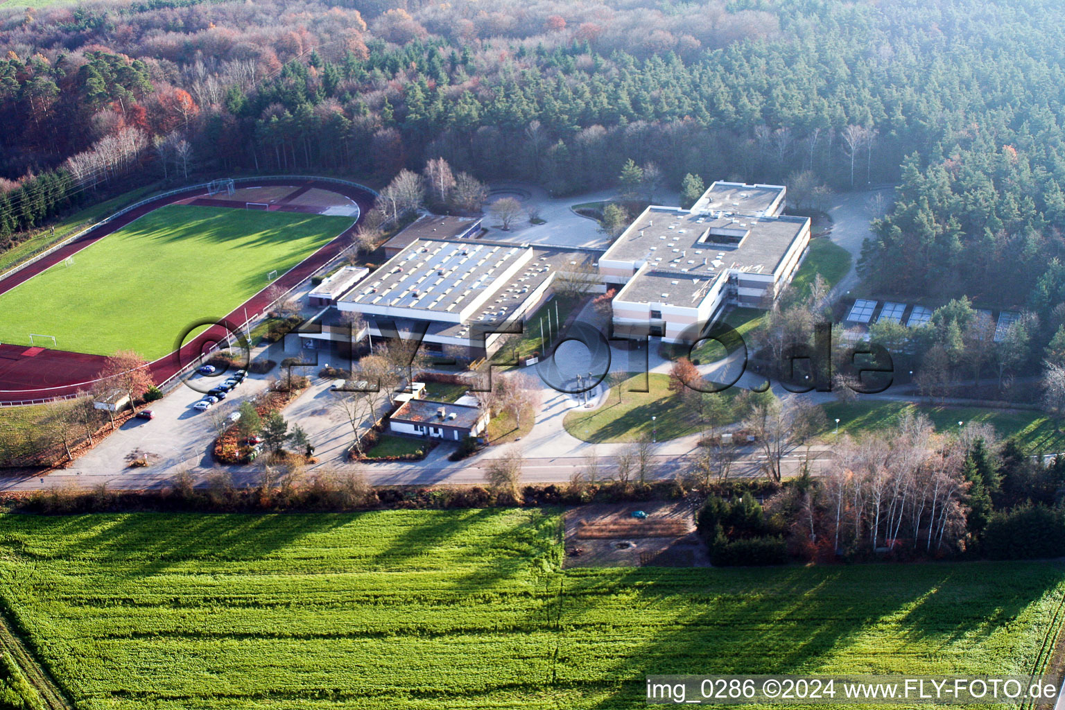 Vue aérienne de École des bains romains à Rheinzabern dans le département Rhénanie-Palatinat, Allemagne