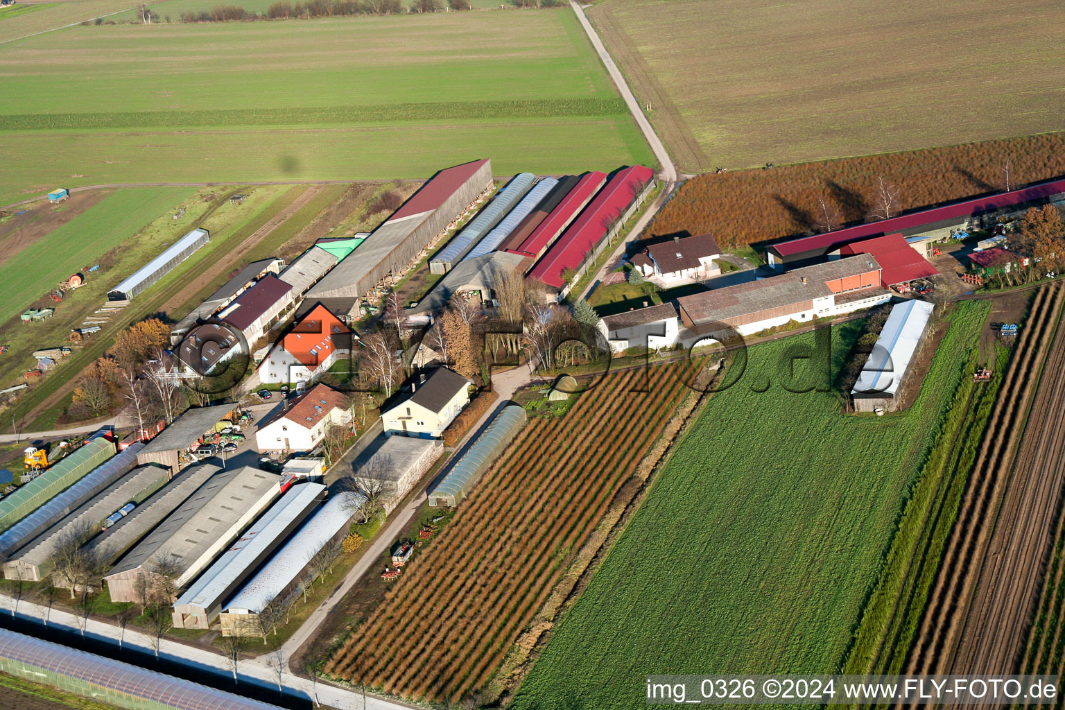 Vue aérienne de Ohmer Aussiedlerhof à Rheinzabern dans le département Rhénanie-Palatinat, Allemagne