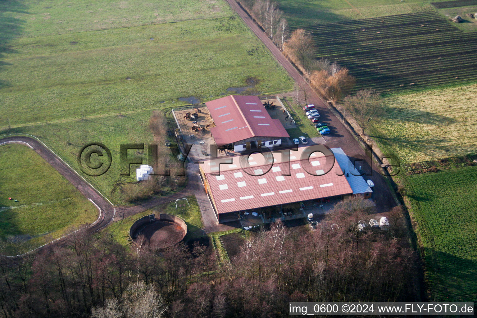 Vue aérienne de Ferme de poneys à Freckenfeld dans le département Rhénanie-Palatinat, Allemagne