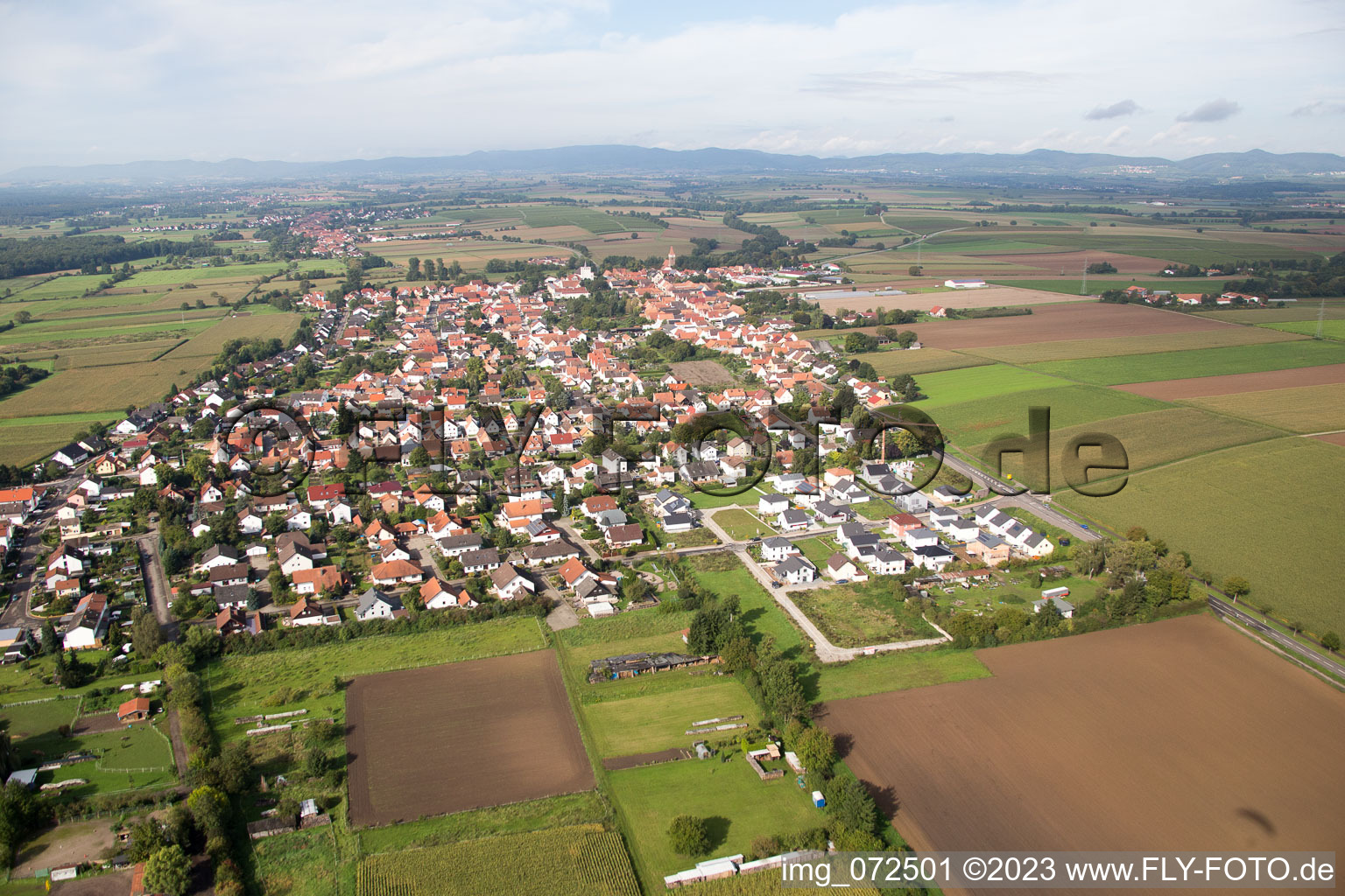 Vue oblique de Minfeld dans le département Rhénanie-Palatinat, Allemagne