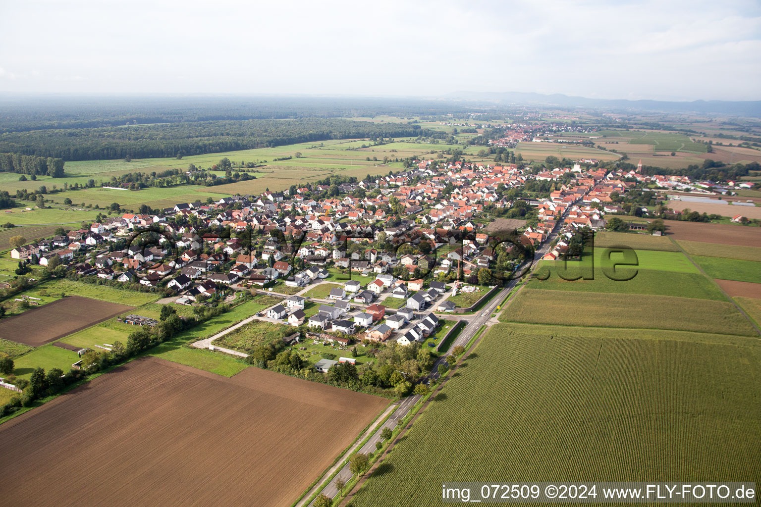 Minfeld dans le département Rhénanie-Palatinat, Allemagne hors des airs