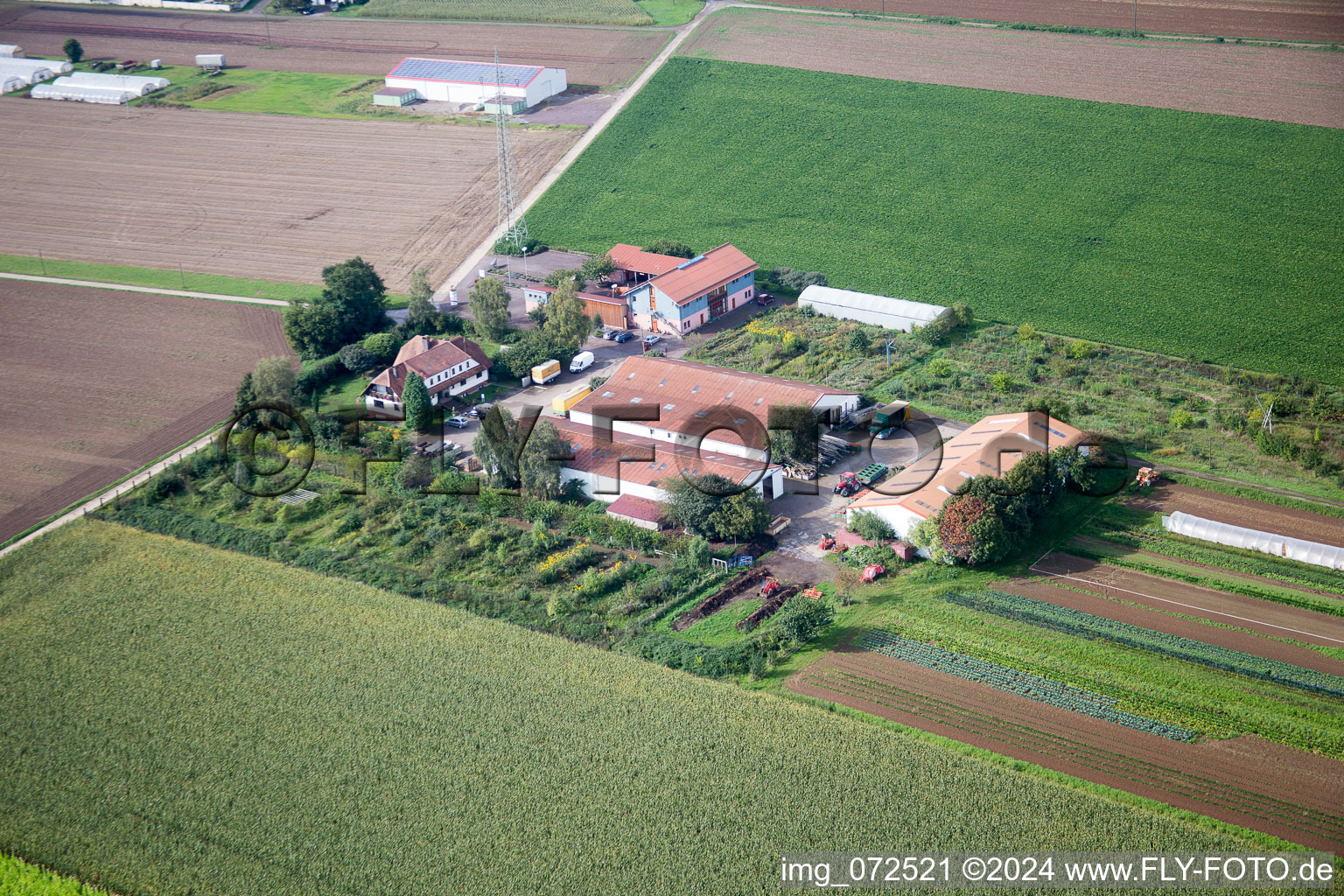 Vue aérienne de Schosberghof à Minfeld dans le département Rhénanie-Palatinat, Allemagne